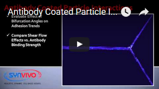 Antibody Coated Particle Interactions