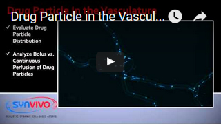 Drug Particle in the Vasculature