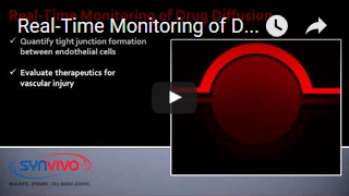Real-Time Monitoring of Drug Diffusion