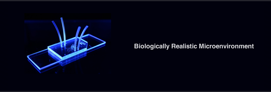 Biologically Realistic Microenvironment
